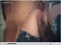 Animal sex clips dog fucks wet pussy